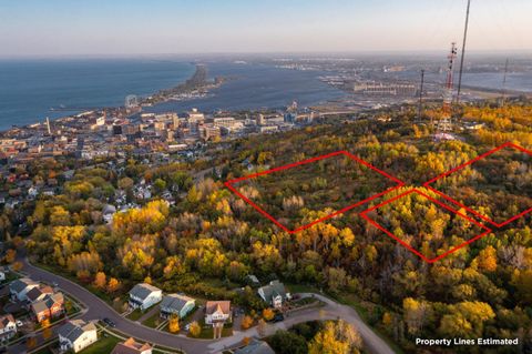 Tiny photo for 2 W 10th St, Duluth, MN 55806 (MLS # 6123258)