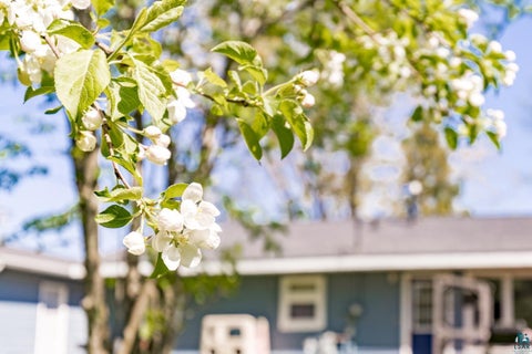 Tiny photo for 2006 Washington Ave, Cloquet, MN 55720 (MLS # 6125809)