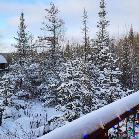 Tiny photo for 14632 Moose Lake Rd, Ely, MN 55731 (MLS # 6123899)