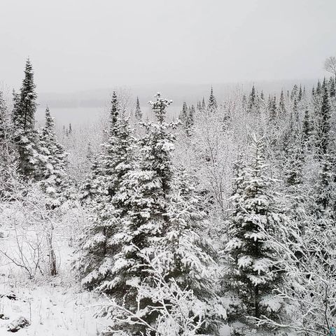 Tiny photo for 14632 Moose Lake Rd, Ely, MN 55731 (MLS # 6123899)