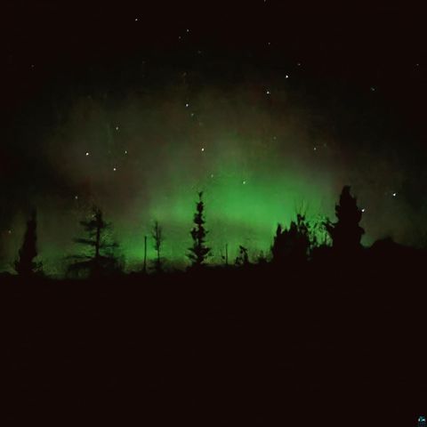 Tiny photo for 14632 Moose Lake Rd, Ely, MN 55731 (MLS # 6123899)