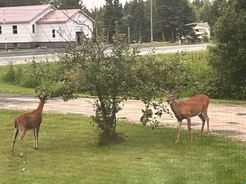 Tiny photo for 4057 Highway 11 St, International Falls, MN 56649 (MLS # 6125706)