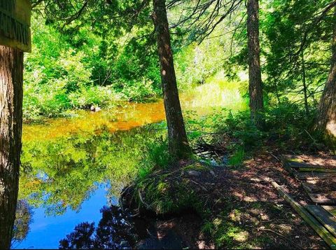 Tiny photo for 991 Ward Lake Rd, Lutsen, MN 55312 (MLS # 6122417)