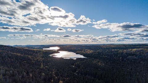 Tiny photo for 991 Ward Lake Rd, Lutsen, MN 55312 (MLS # 6122417)