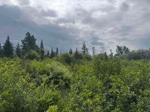 Tiny photo for TBD Quaal Rd, Forbes, MN 55738 (MLS # 6126518)