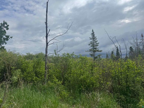 Tiny photo for TBD Quaal Rd, Forbes, MN 55738 (MLS # 6126518)