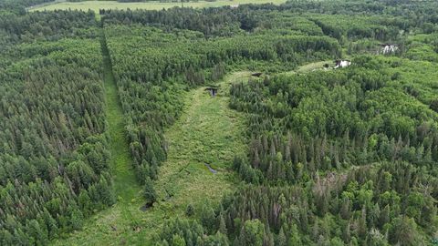 Photo of TBD Quaal Rd, Forbes, MN 55738 (MLS # 6126518)