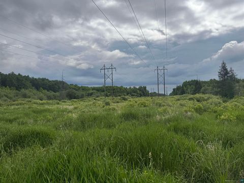 Tiny photo for TBD Quaal Rd, Forbes, MN 55738 (MLS # 6126518)