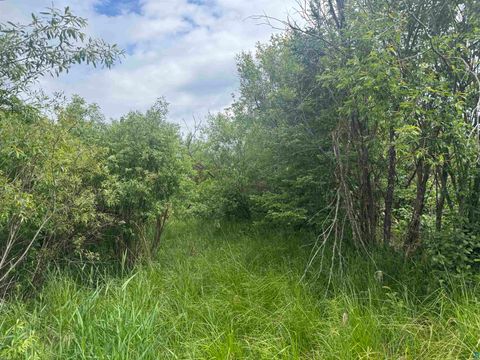 Tiny photo for TBD Quaal Rd, Forbes, MN 55738 (MLS # 6126518)