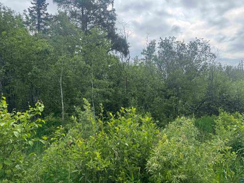 Photo of TBD Quaal Rd, Forbes, MN 55738 (MLS # 6126518)
