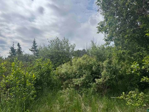 Tiny photo for TBD Quaal Rd, Forbes, MN 55738 (MLS # 6126518)