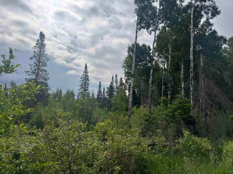 Tiny photo for TBD Quaal Rd, Forbes, MN 55738 (MLS # 6126518)