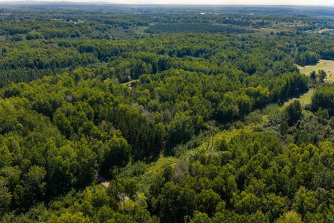 Tiny photo for 1 Crosby Rd, Esko, MN 55733 (MLS # 6127822)