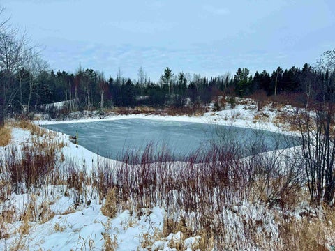 Tiny photo for 4274 W Pioneer Rd, Duluth, MN 55803 (MLS # 6126977)