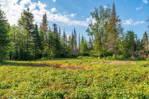 Tiny photo for 8364 E General Grade Rd, Finland, MN 55603 (MLS # 6127324)