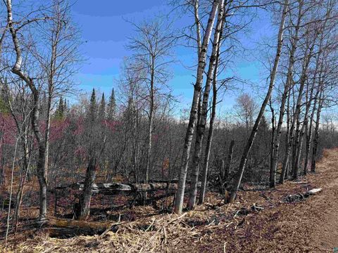 Tiny photo for 51 Samuelson Rd, Duluth, MN 55811 (MLS # 6124718)