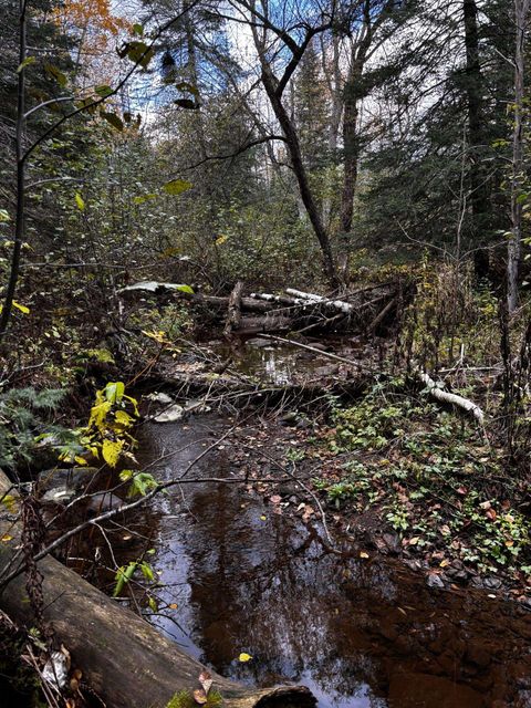 Tiny photo for 1774 Highway 2, Two Harbors, MN 55616 (MLS # 6122684)