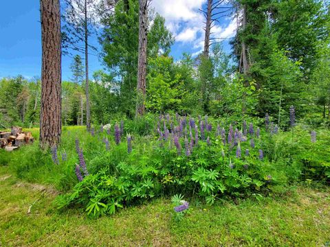 Tiny photo for 13462 Villa Rd, Ely, MN 55731 (MLS # 6124112)