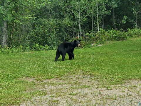 Tiny photo for 13462 Villa Rd, Ely, MN 55731 (MLS # 6124112)