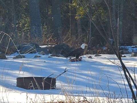 Tiny photo for 13462 Villa Rd, Ely, MN 55731 (MLS # 6124112)