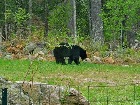 Tiny photo for 13462 Villa Rd, Ely, MN 55731 (MLS # 6124112)