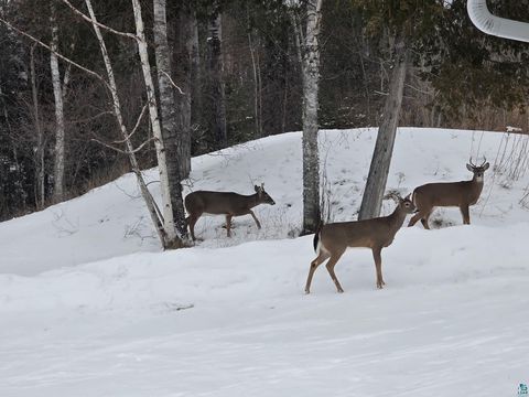 Tiny photo for 13462 Villa Rd, Ely, MN 55731 (MLS # 6124112)