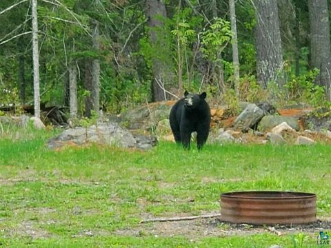 Tiny photo for 13462 Villa Rd, Ely, MN 55731 (MLS # 6124112)