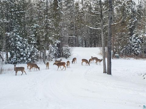 Tiny photo for 13462 Villa Rd, Ely, MN 55731 (MLS # 6124112)