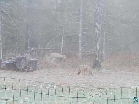 Tiny photo for 13462 Villa Rd, Ely, MN 55731 (MLS # 6124112)