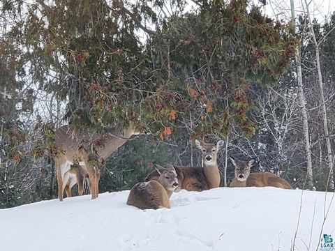 Tiny photo for 13462 Villa Rd, Ely, MN 55731 (MLS # 6124112)