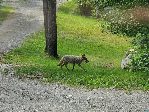 Tiny photo for 13462 Villa Rd, Ely, MN 55731 (MLS # 6124112)