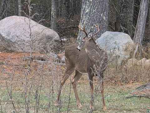 Tiny photo for 13462 Villa Rd, Ely, MN 55731 (MLS # 6124112)