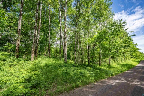 Tiny photo for 2 Bent Trout Lake Rd, Barnum, MN 55707 (MLS # 6126682)