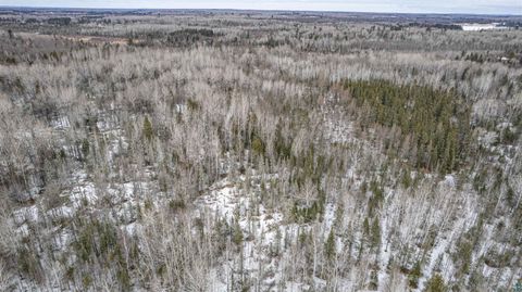 Tiny photo for XXX Lismore Rd, Duluth, MN 55803 (MLS # 6124432)