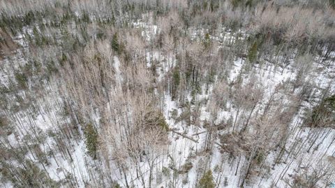 Tiny photo for XXX Lismore Rd, Duluth, MN 55803 (MLS # 6124432)