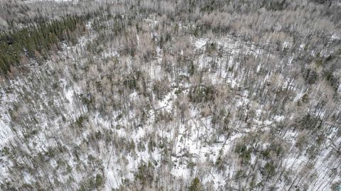 Tiny photo for XXX Lismore Rd, Duluth, MN 55803 (MLS # 6124432)