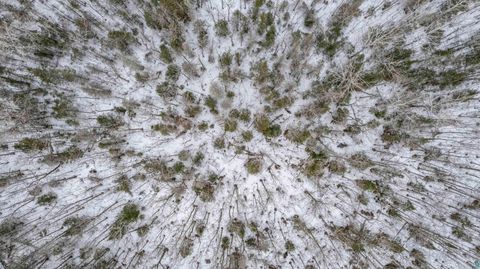 Tiny photo for XXX Lismore Rd, Duluth, MN 55803 (MLS # 6124432)