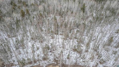 Tiny photo for XXX Lismore Rd, Duluth, MN 55803 (MLS # 6124432)