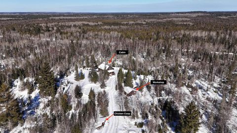 Tiny photo for 2817 Stony Loop, Isabella, MN 55607 (MLS # 6123680)