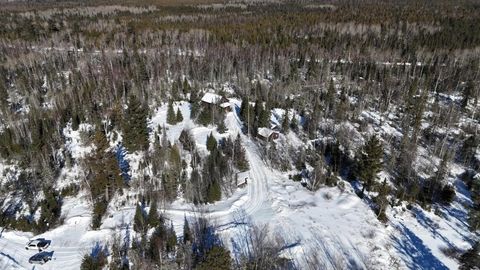 Tiny photo for 2817 Stony Loop, Isabella, MN 55607 (MLS # 6123680)