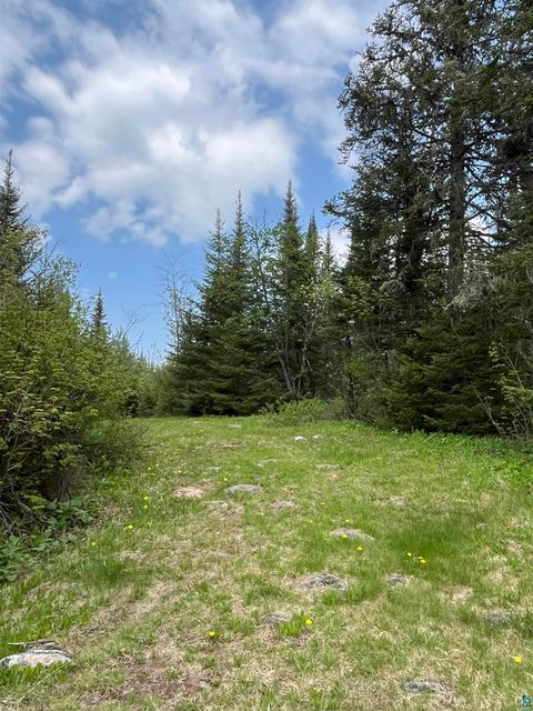 Tiny photo for 100 Wilderness Tr, Hovland, MN 55606 (MLS # 6124856)