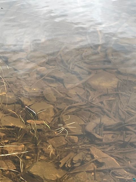 Tiny photo for 100 Wilderness Tr, Hovland, MN 55606 (MLS # 6124856)