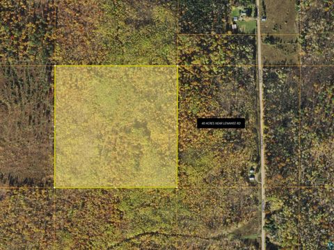 40 Acres near Lenawee Rd Herbster WI 54844