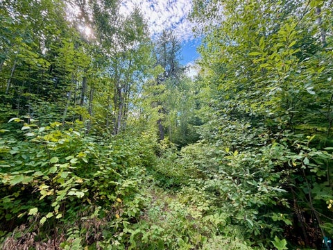 Tiny photo for 4704 Hwy 169, Ely, MN 55731 (MLS # 6127763)