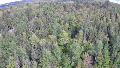 Tiny photo for 4704 Hwy 169, Ely, MN 55731 (MLS # 6127763)