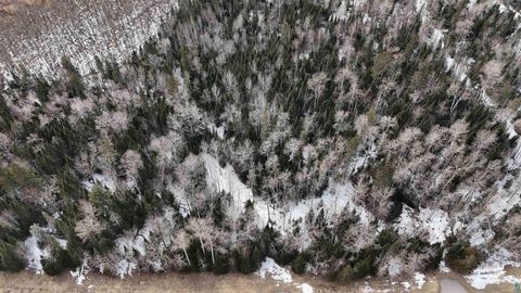 Tiny photo for 21 Nett Lake Rd, Orr, MN 55771 (MLS # 6124240)