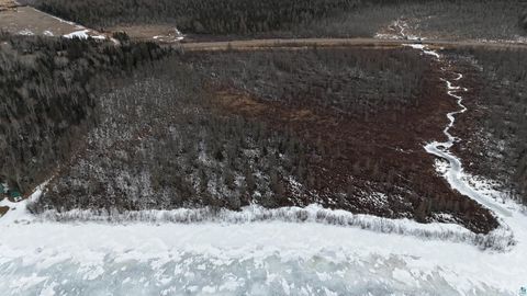 Tiny photo for 21 Nett Lake Rd, Orr, MN 55771 (MLS # 6124240)