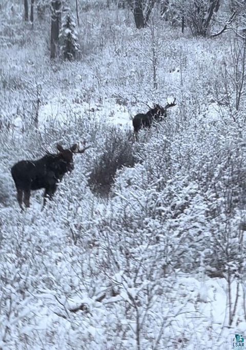 Tiny photo for 261 Caps Tr, Lutsen, MN 55612 (MLS # 6124017)