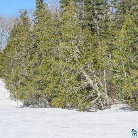 Tiny photo for 261 Caps Tr, Lutsen, MN 55612 (MLS # 6124017)