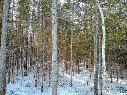 Tiny photo for 261 Caps Tr, Lutsen, MN 55612 (MLS # 6124017)